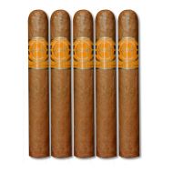 Delicioso Petit Cuban Bee Honey 5 Pack
